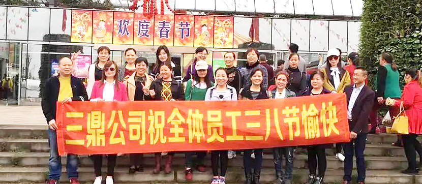 三鼎房产环境管理服务有限公司